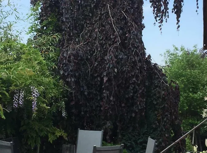 Haus Am Suedfruechtegarten Апартаменты *